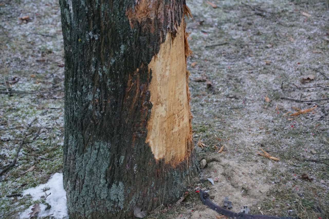 DSC06612