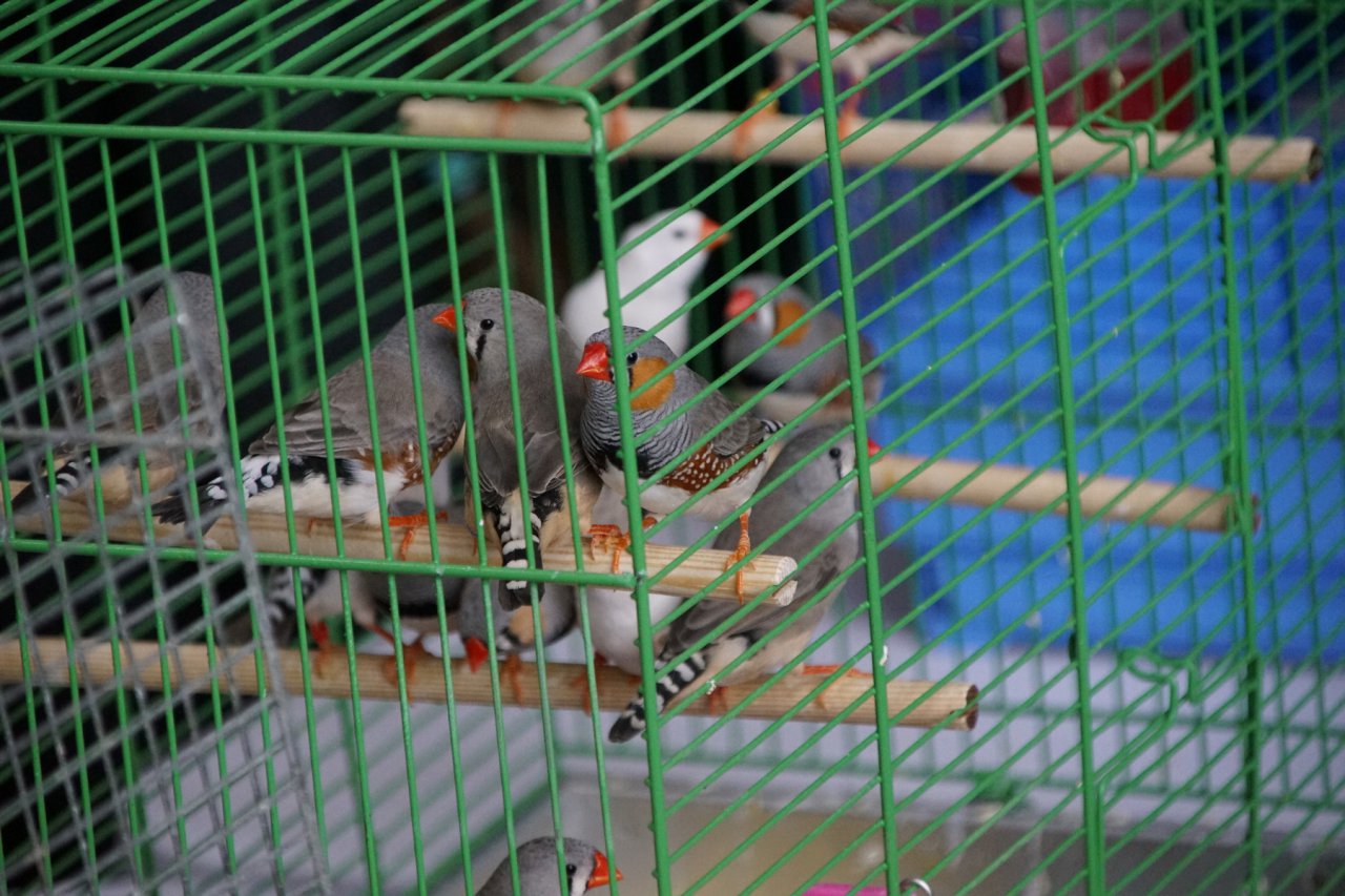 DSC07204