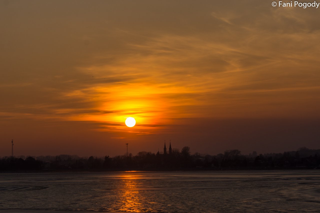 DSC_9503
