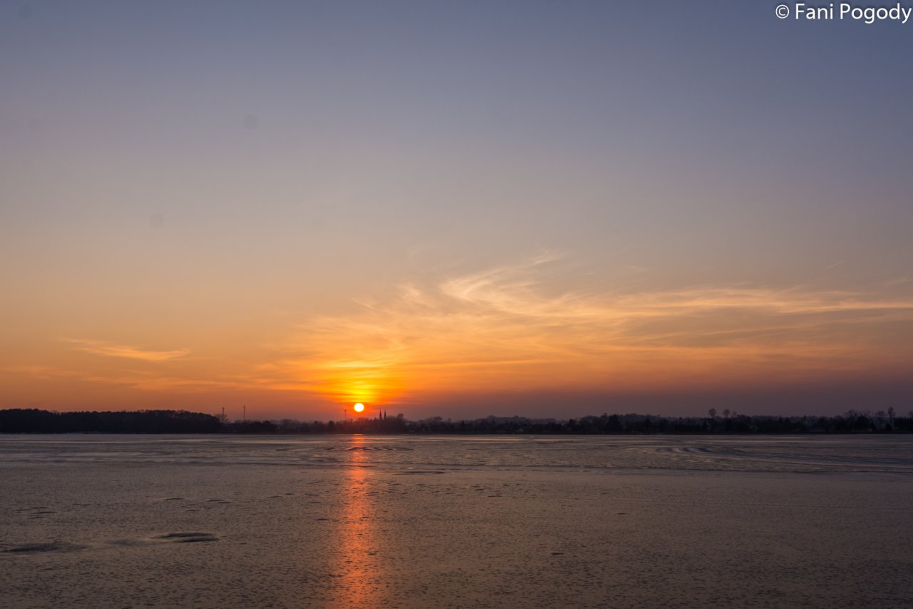 DSC_9546