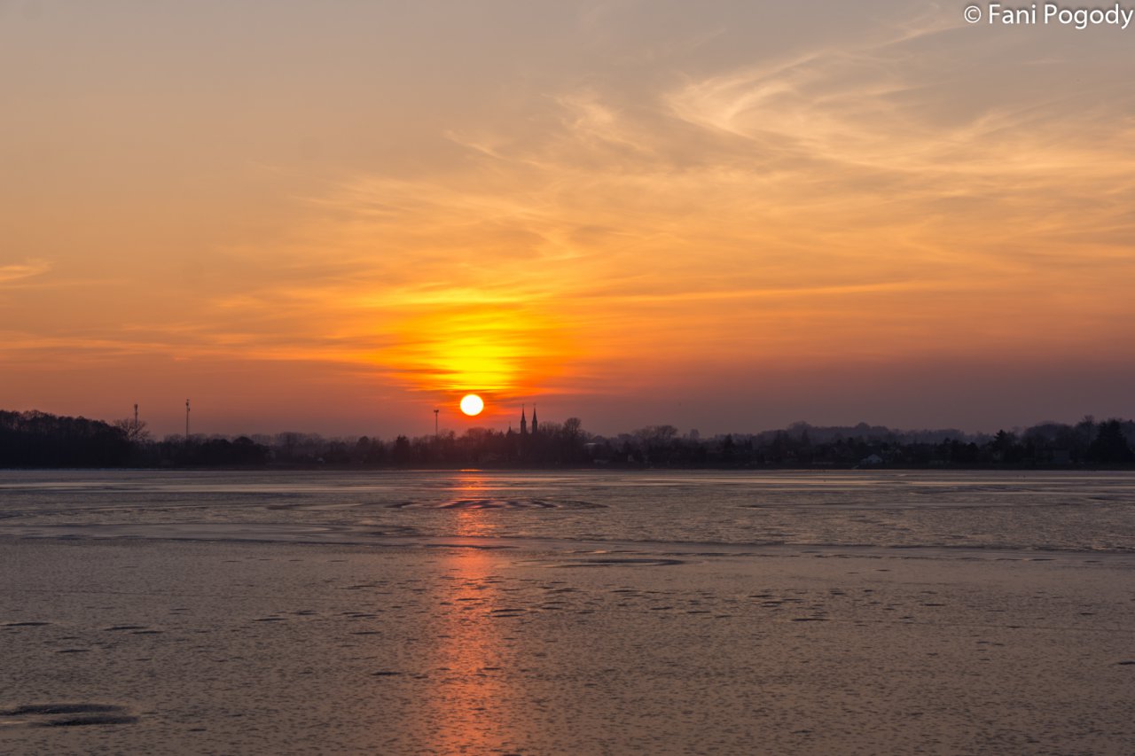 DSC_9551