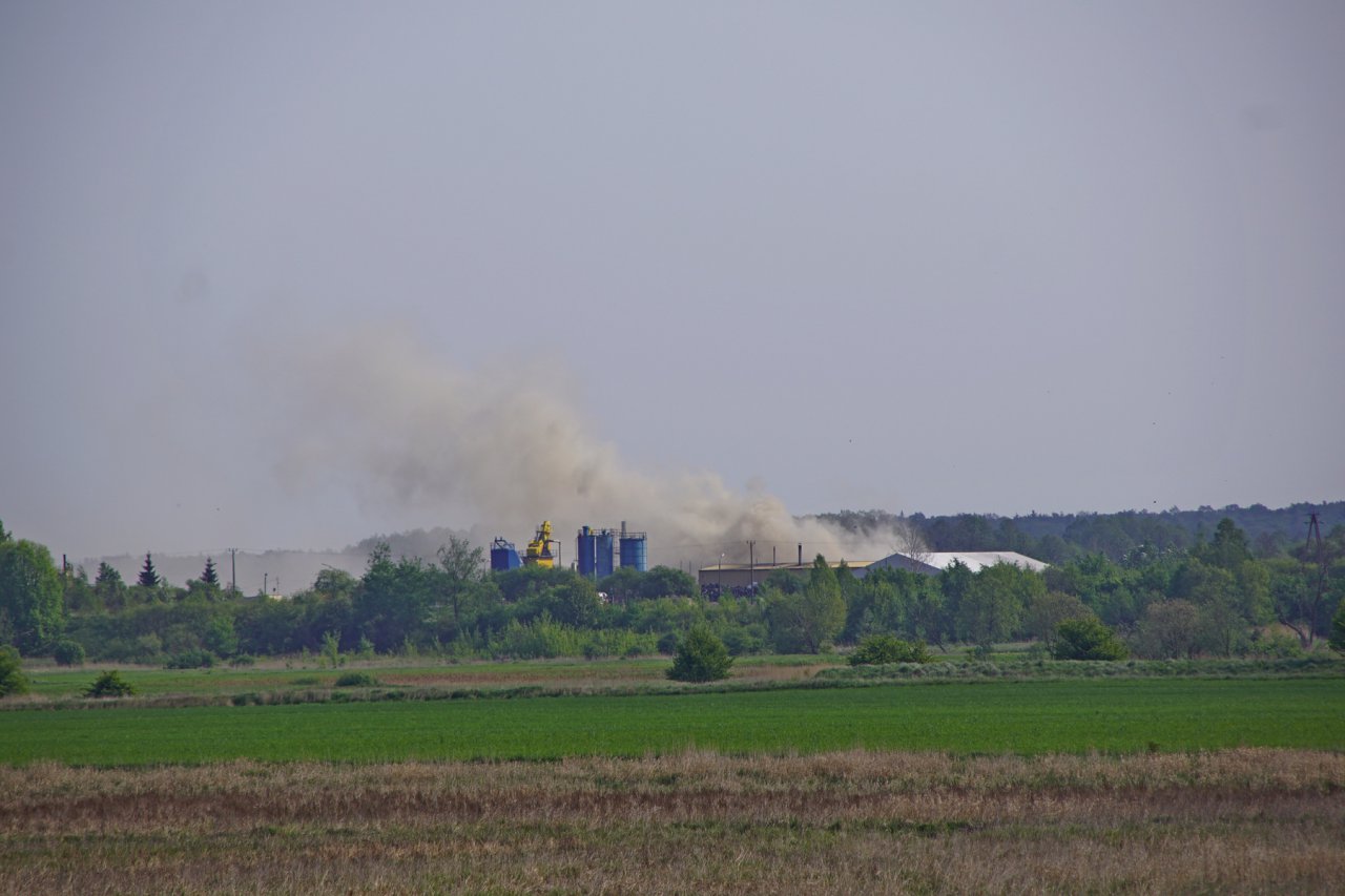 DSC09054