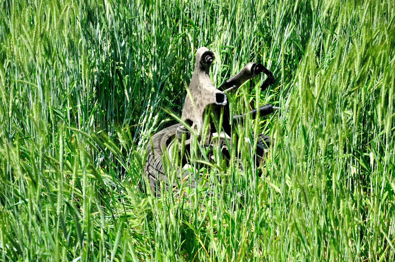 DSC_0288