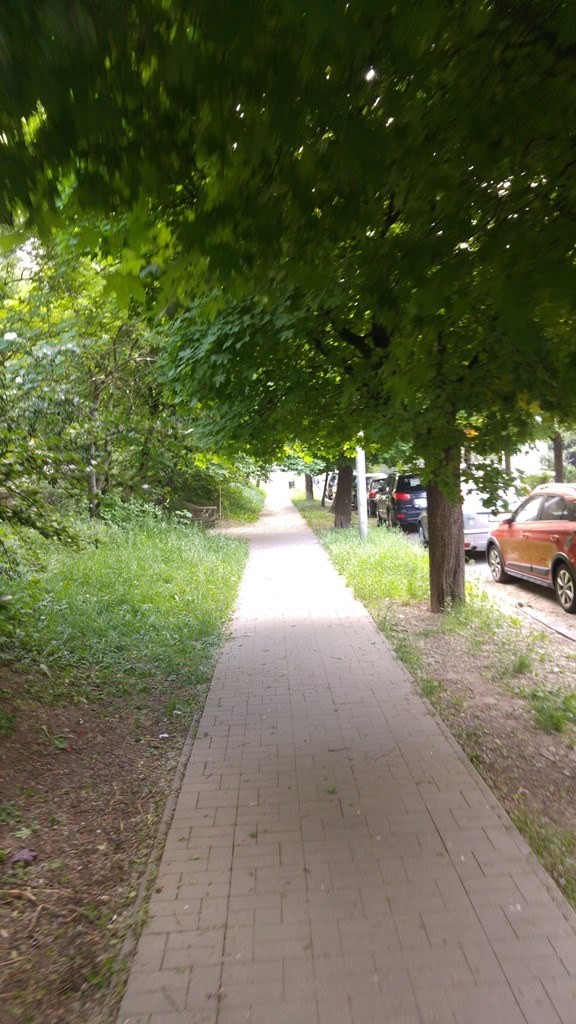 Weteranówvdf