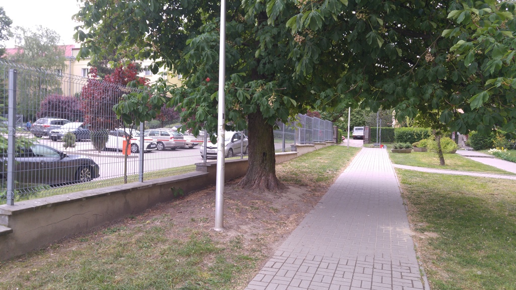 Zuchów-ds