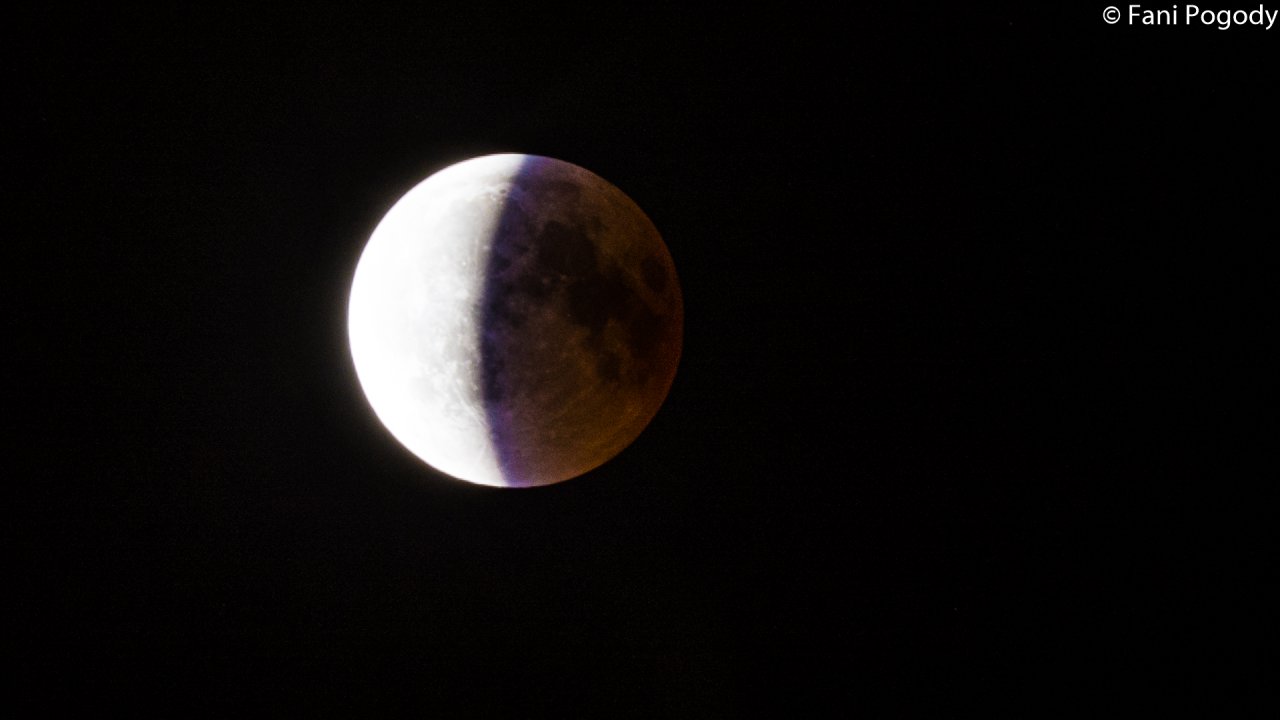DSC_4685