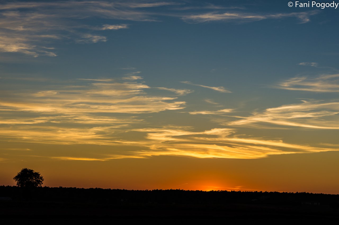 DSC_6915