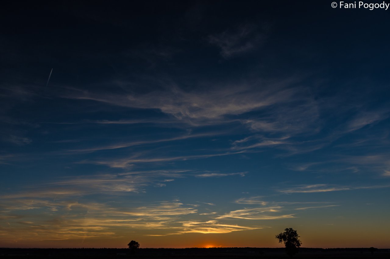 DSC_6920