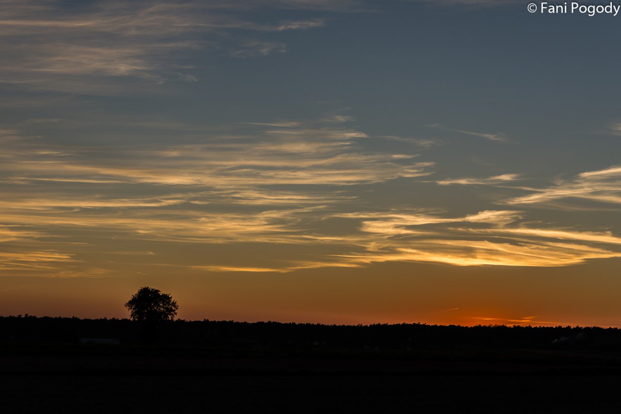 DSC_6938