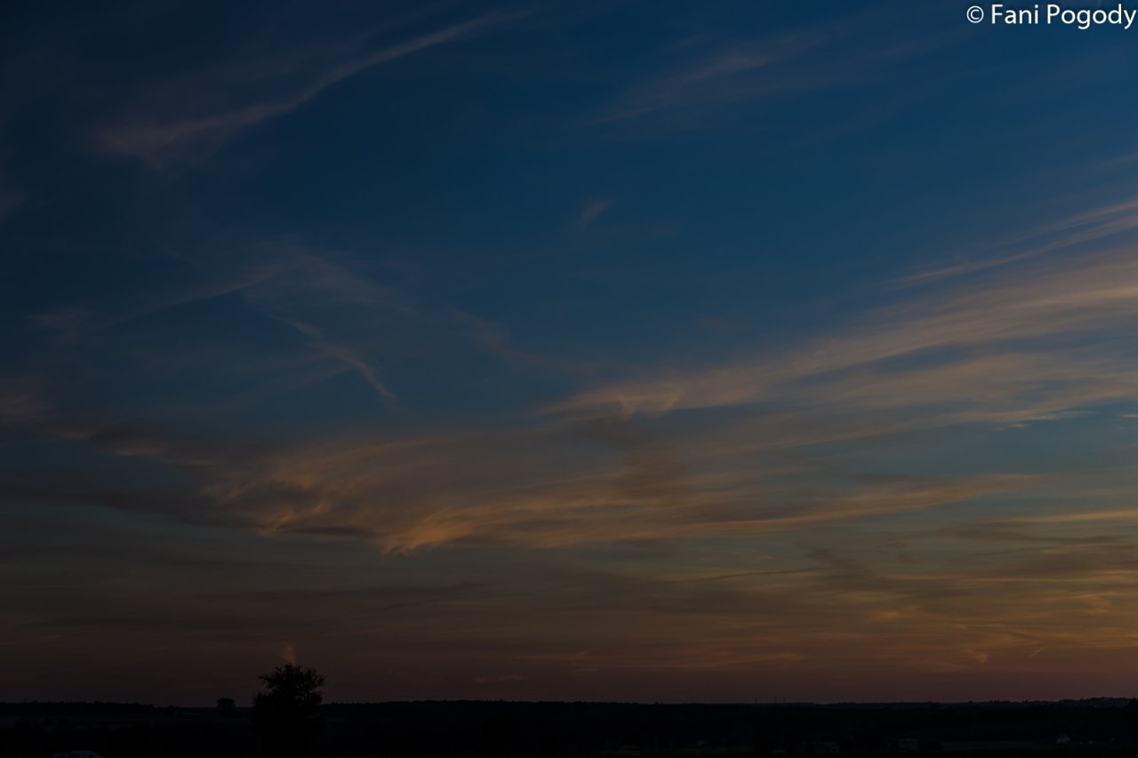 DSC_6974