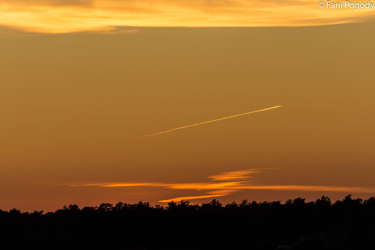 DSC_6987-2
