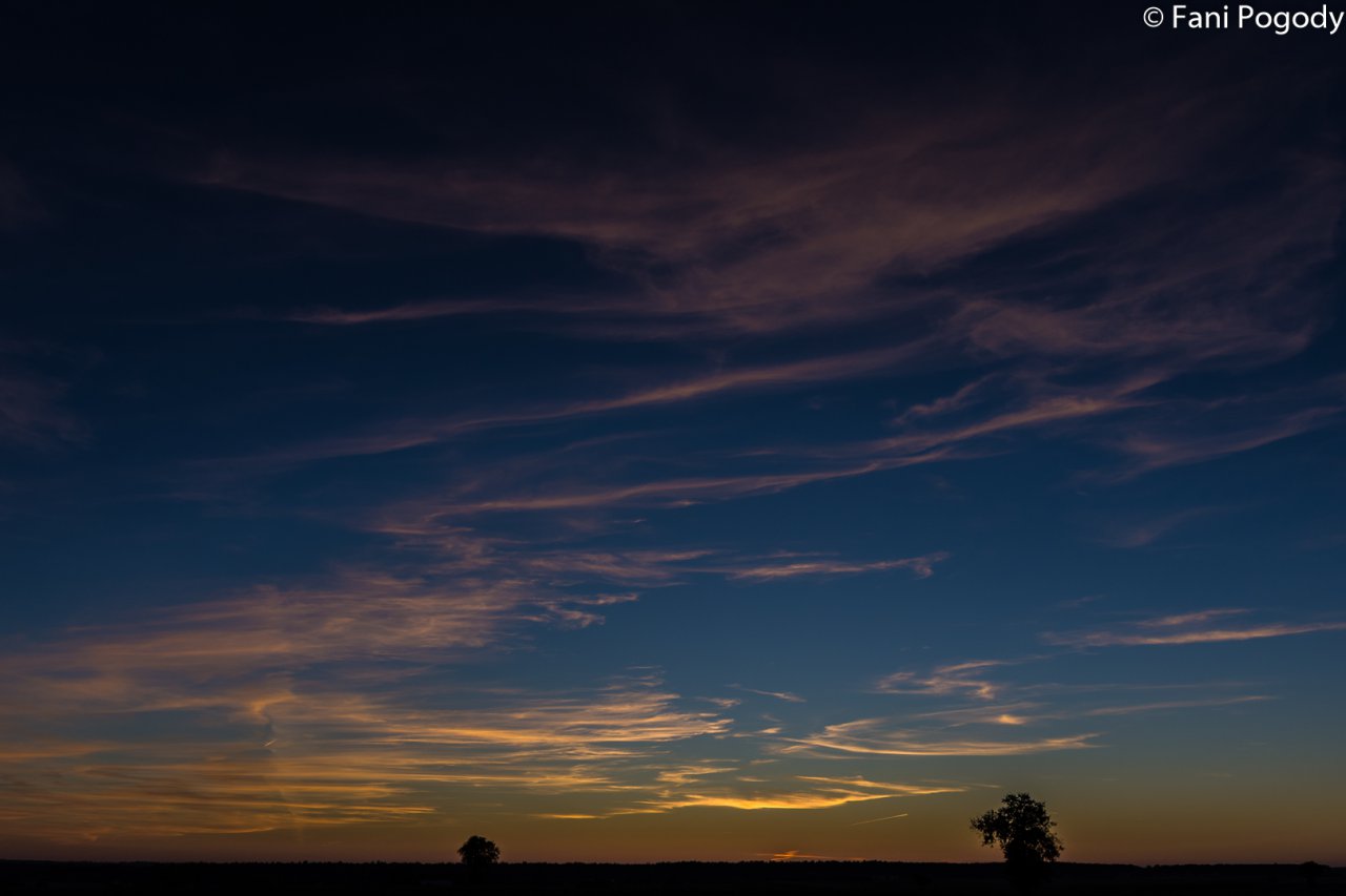DSC_7005-2