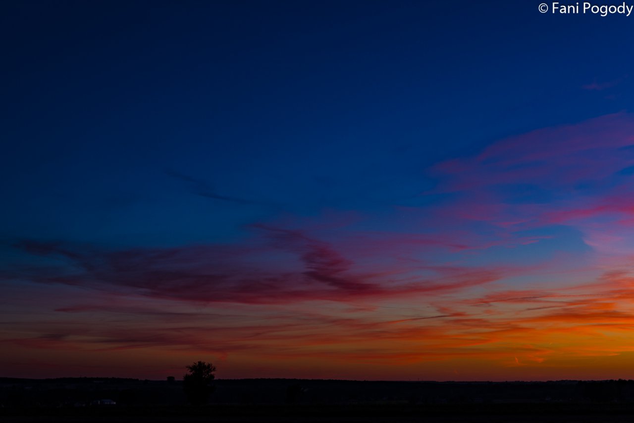 DSC_7099-2