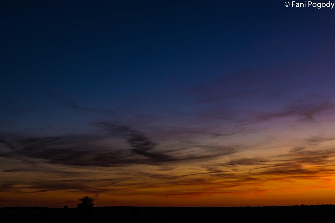 DSC_7111-2