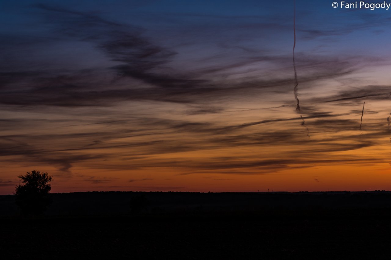 DSC_7131-2