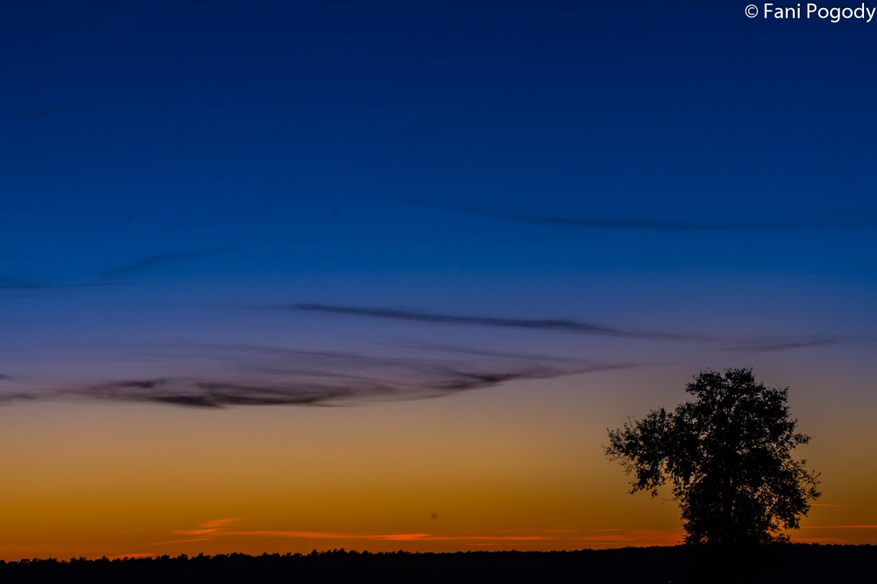 DSC_7134-2