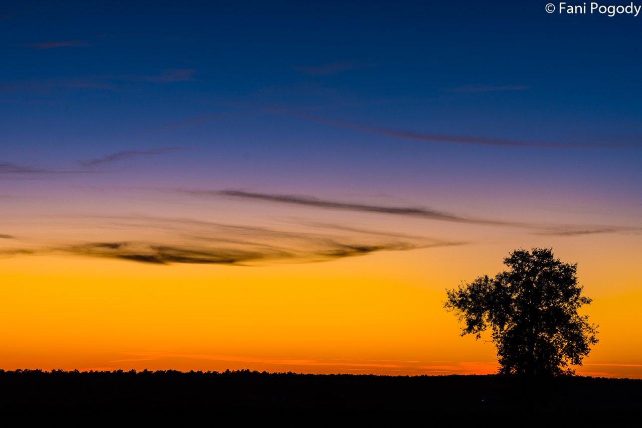 DSC_7136-2