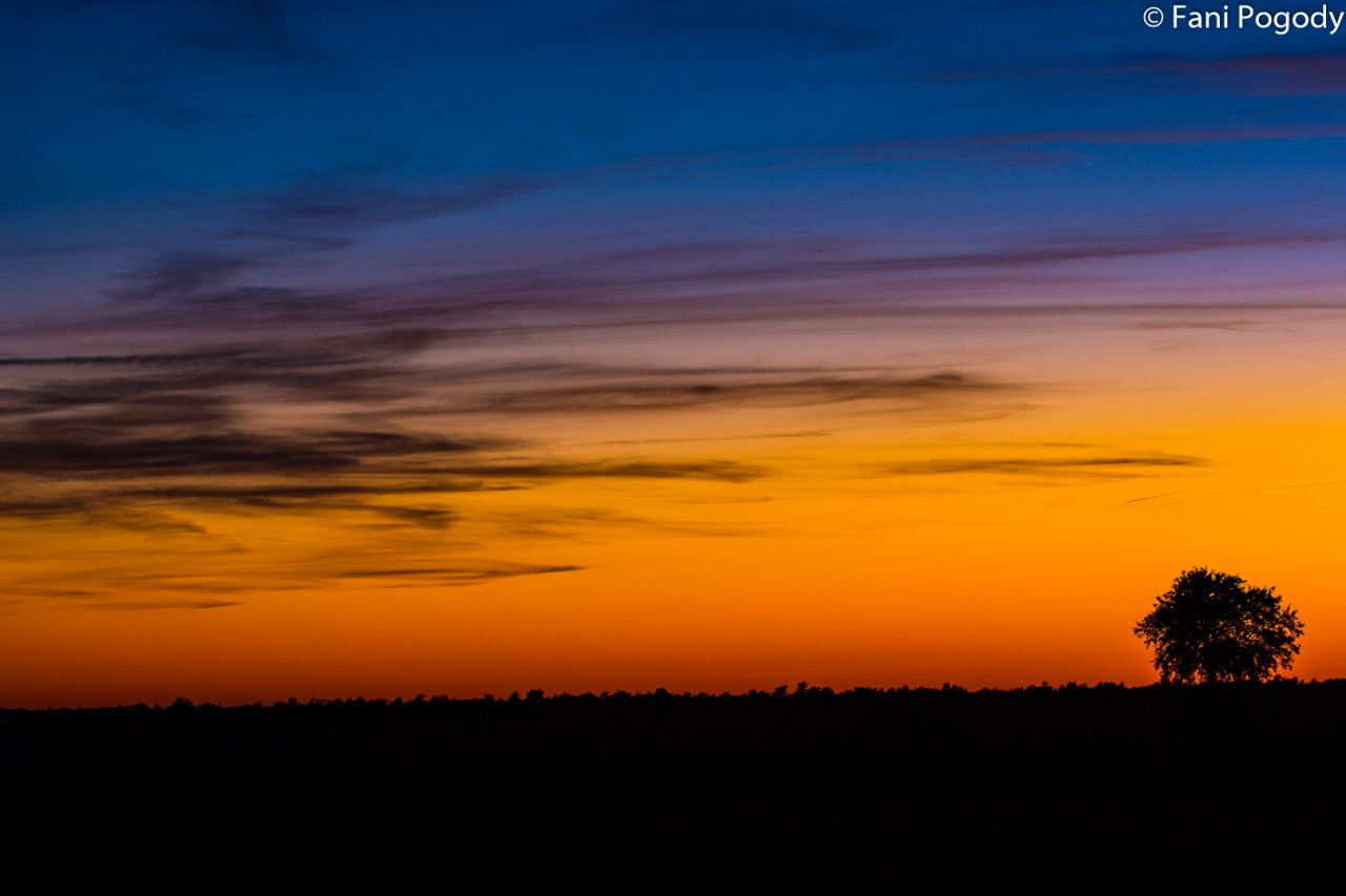 DSC_7138-2