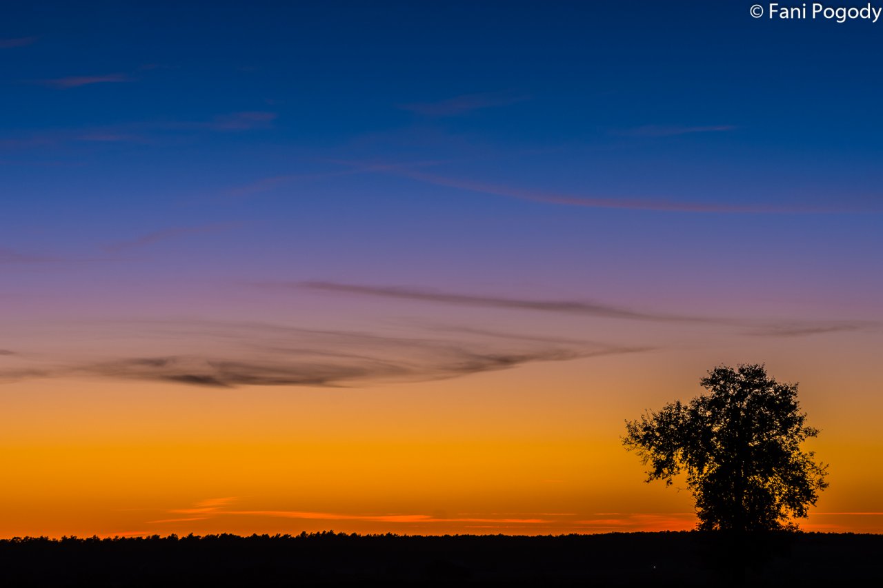 DSC_7145-2