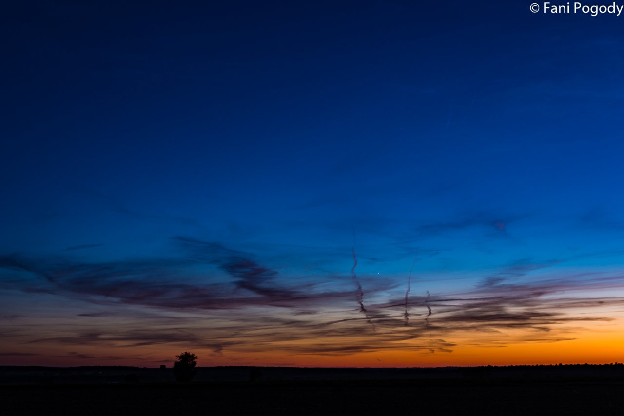 DSC_7155