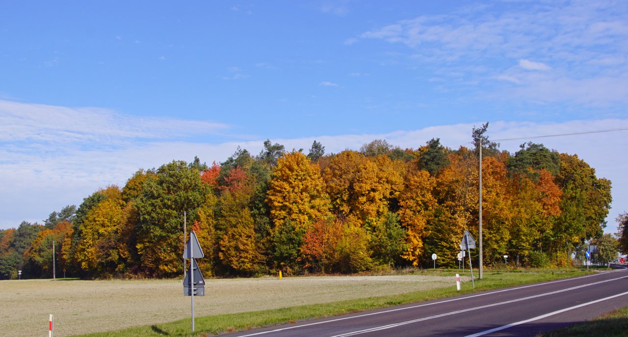 DSC01473