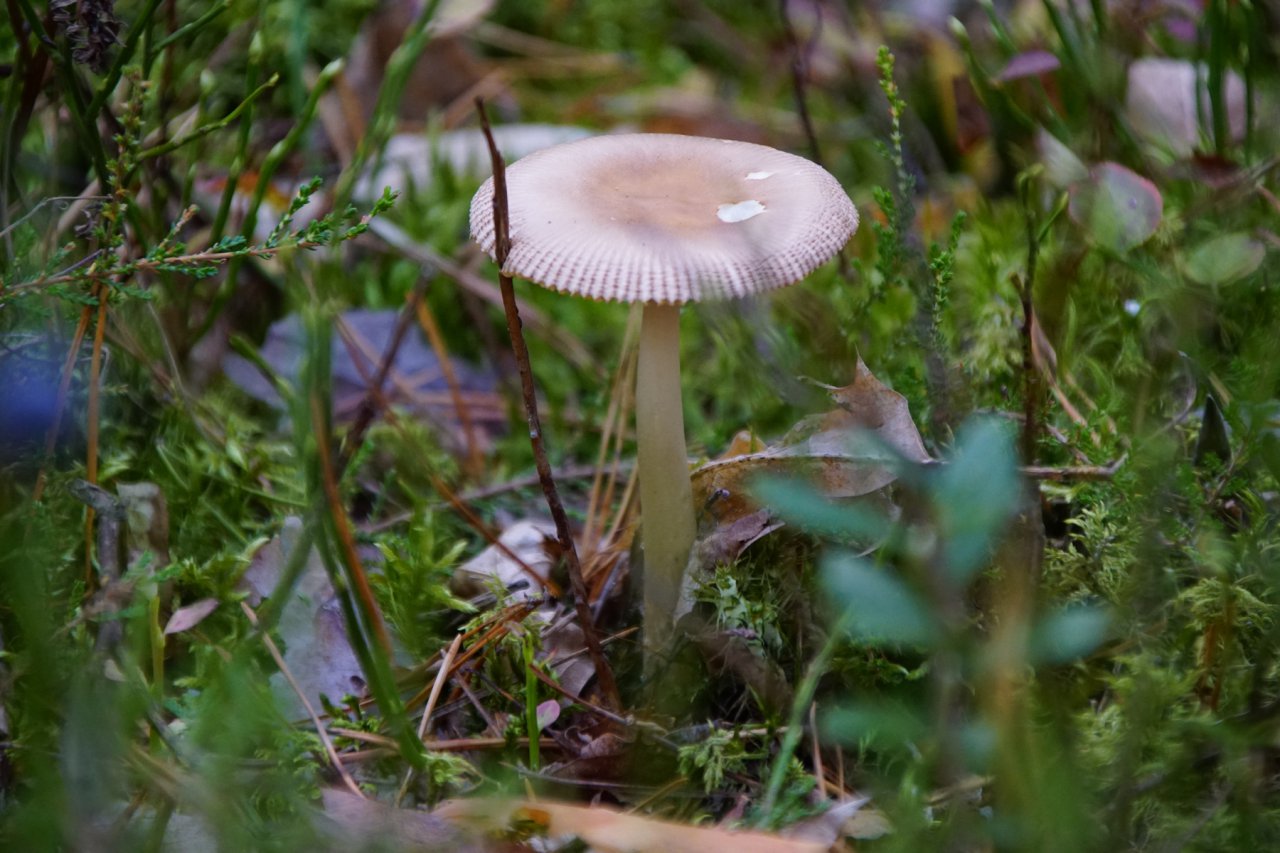 DSC01512