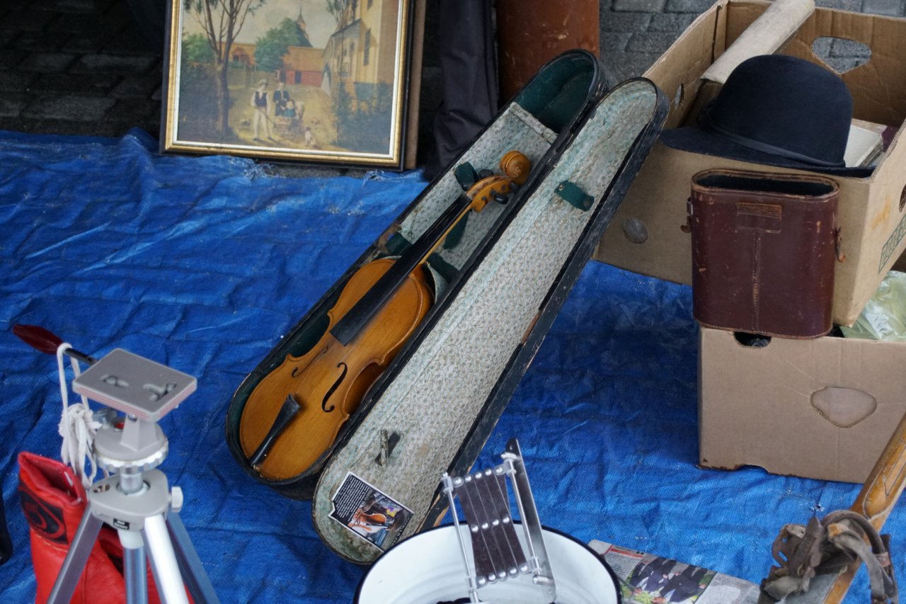 DSC05155