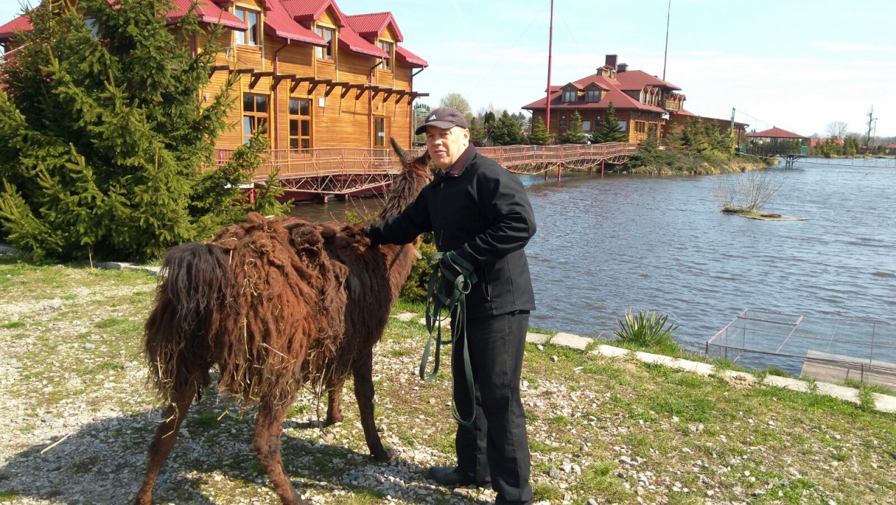 Rambo po wyjściu z samochodu w Malibu3
