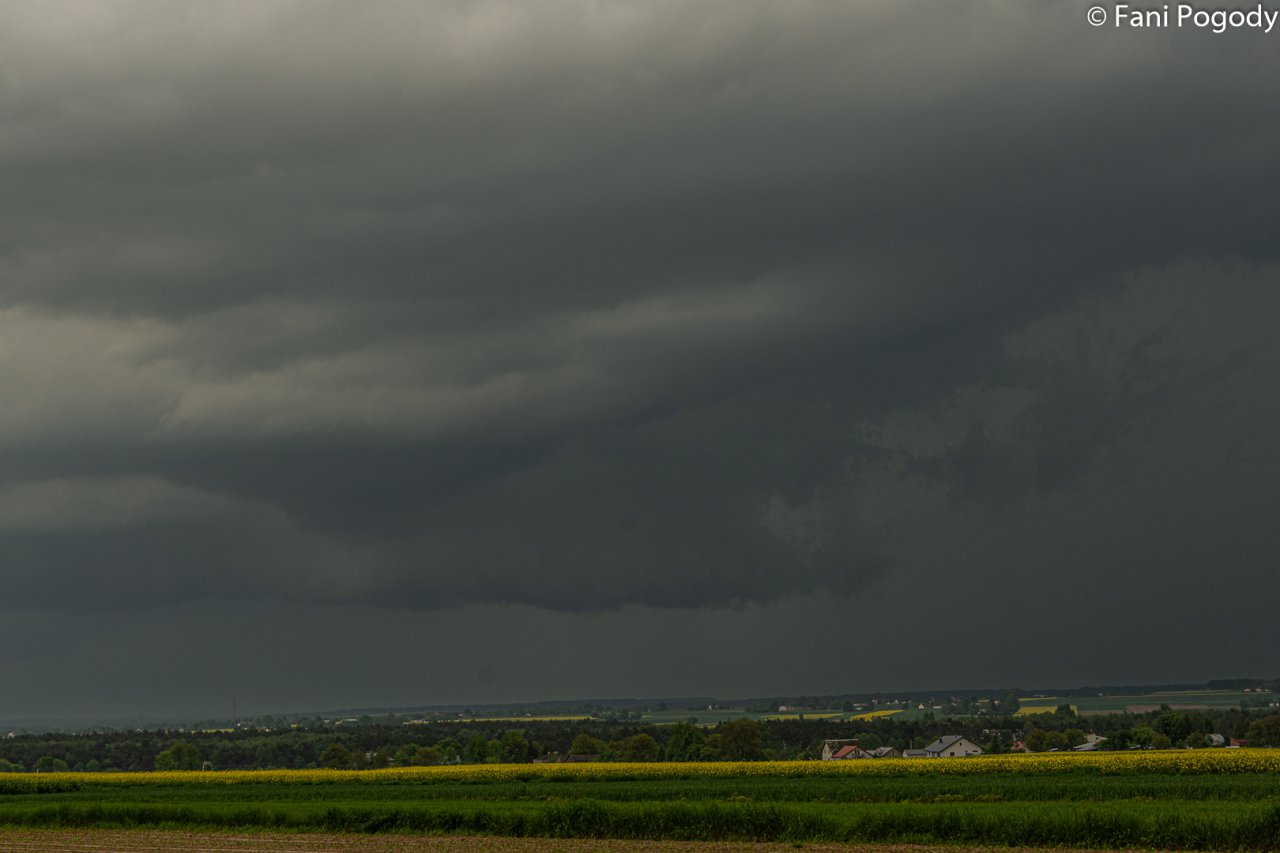 DSC_0558