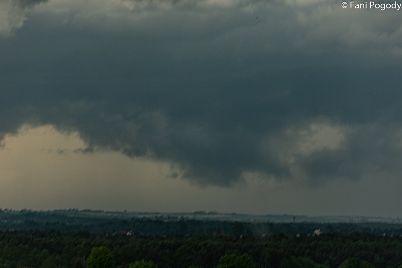 DSC_0646