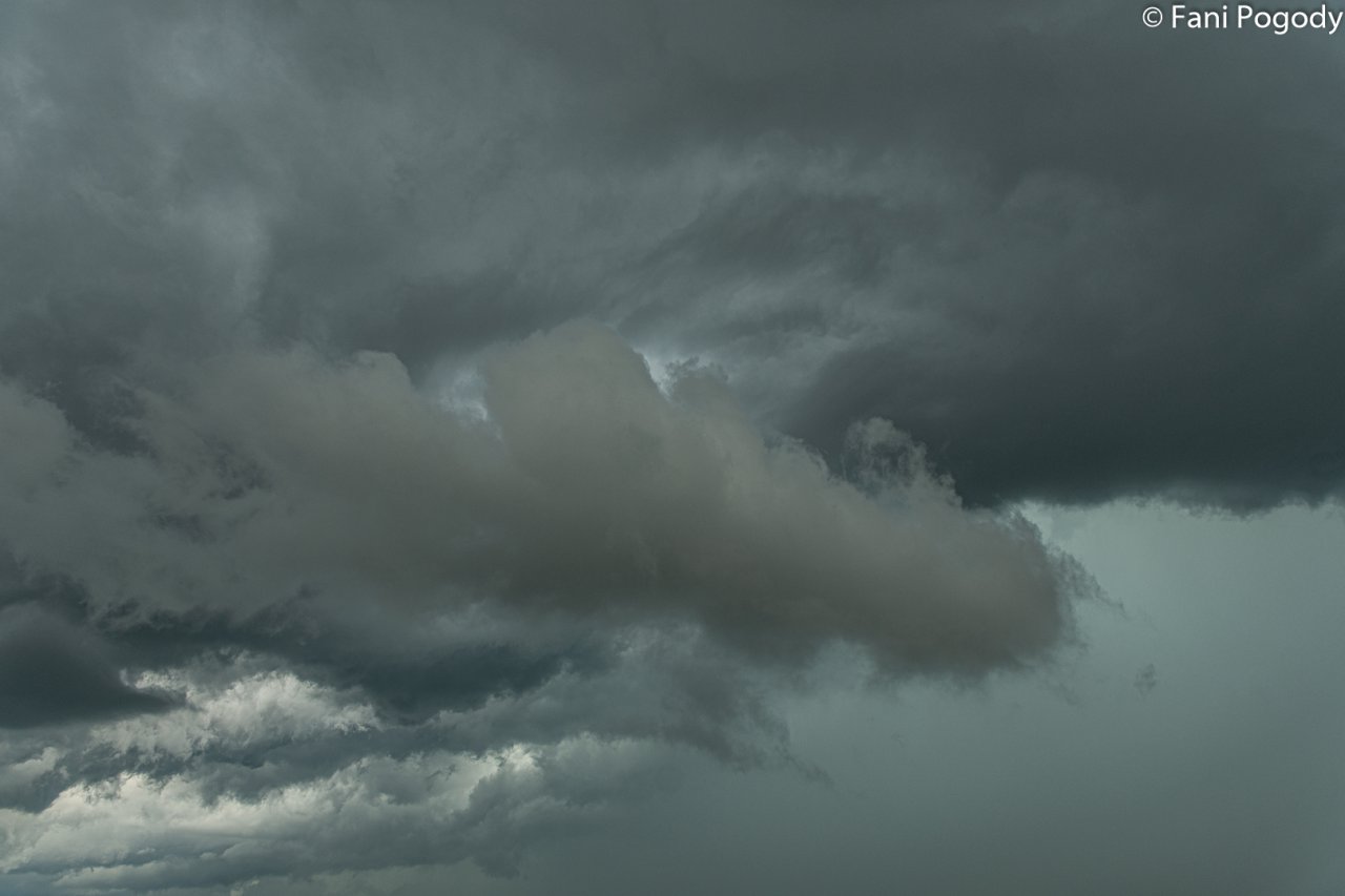 DSC_0655