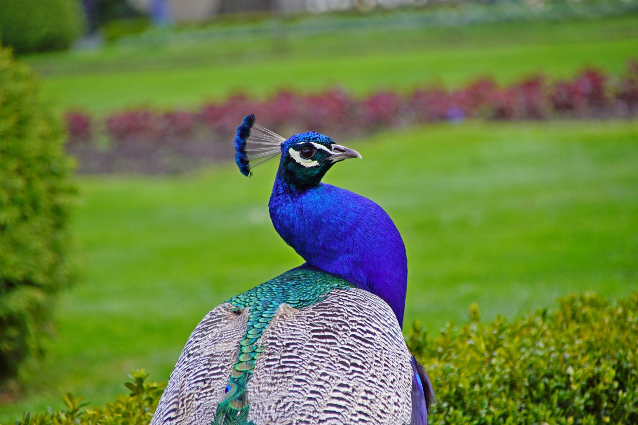 DSC09060