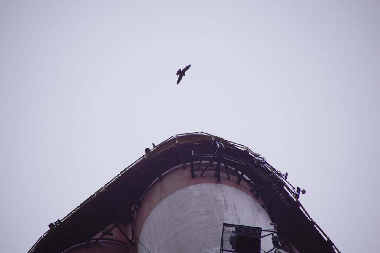 DSC00039