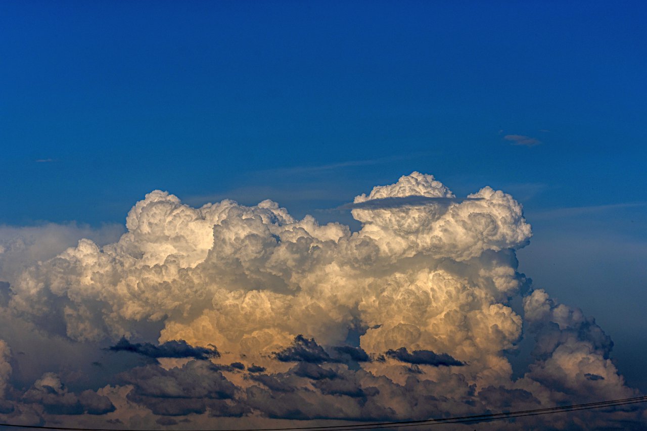 DSC_0095
