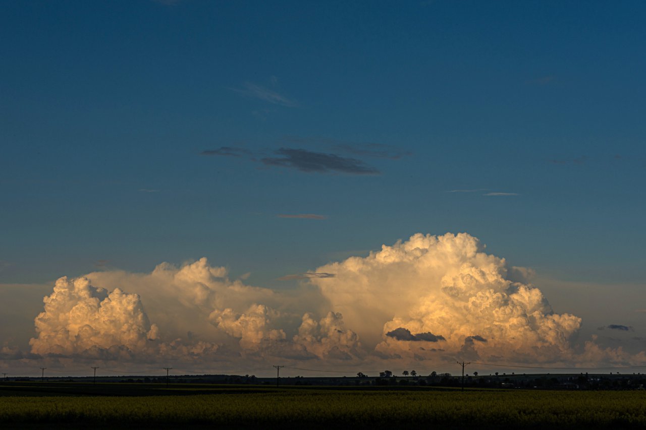 DSC_0181