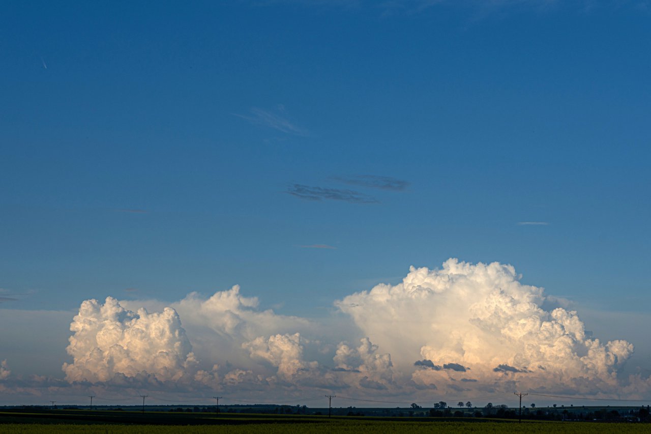 DSC_0189