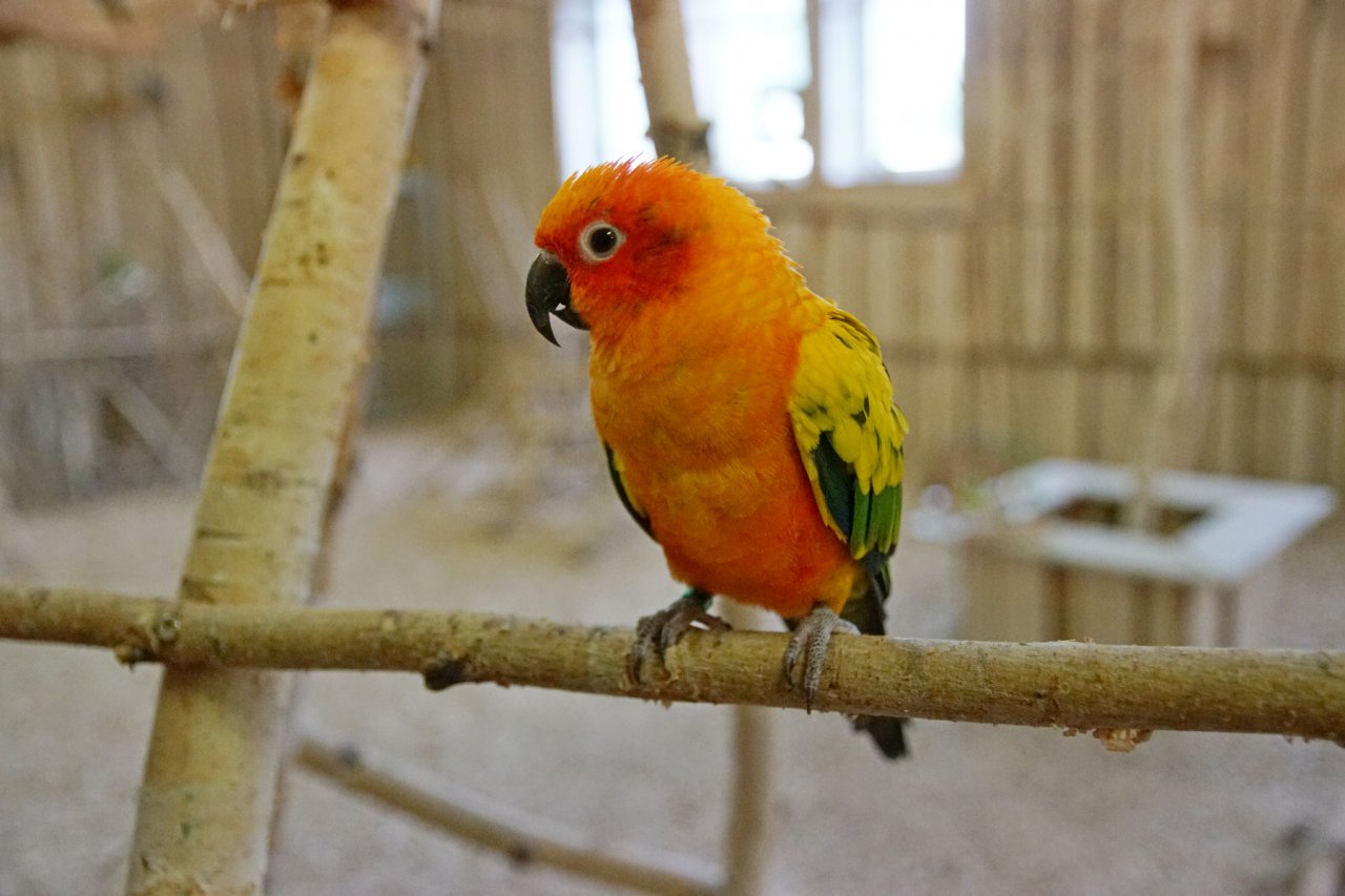 DSC01975