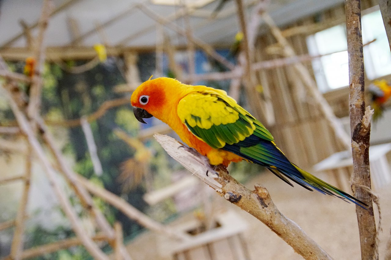 DSC02005