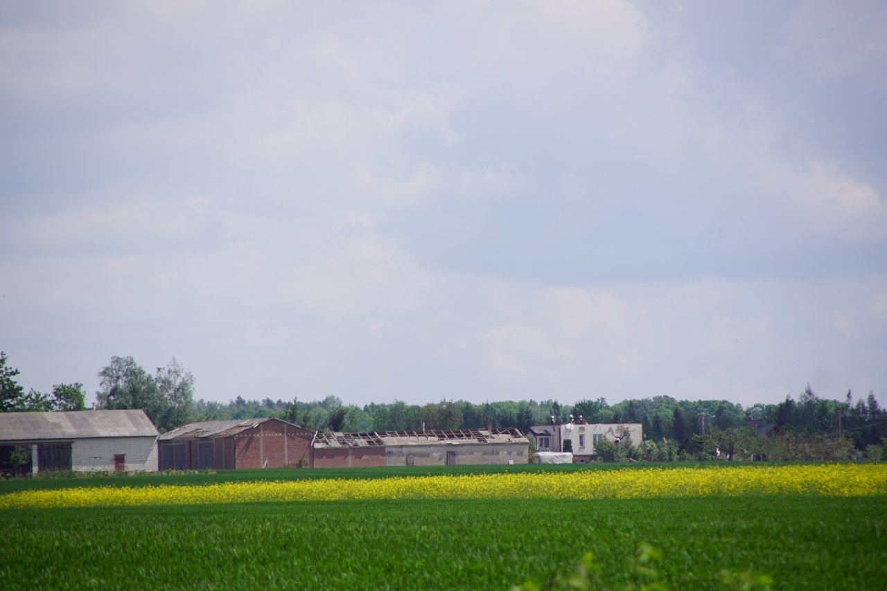 DSC01017