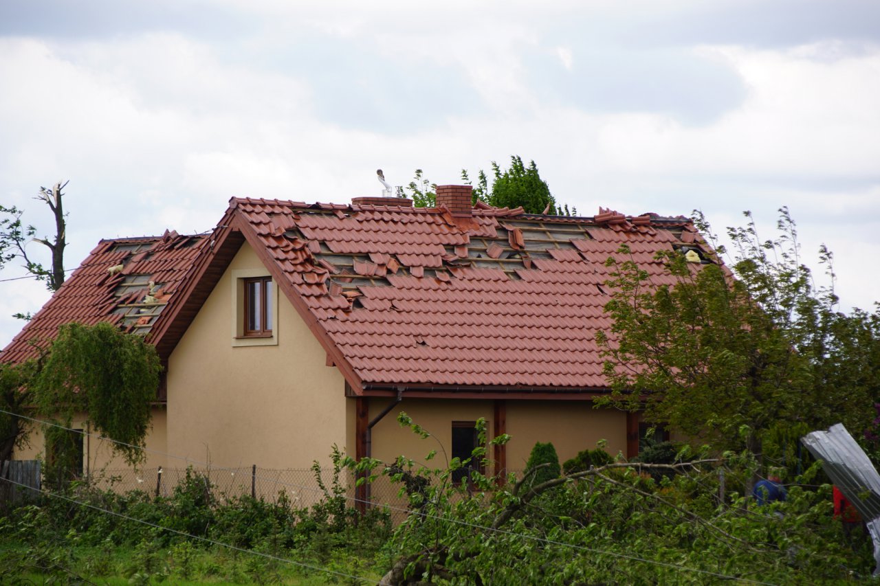 DSC01191