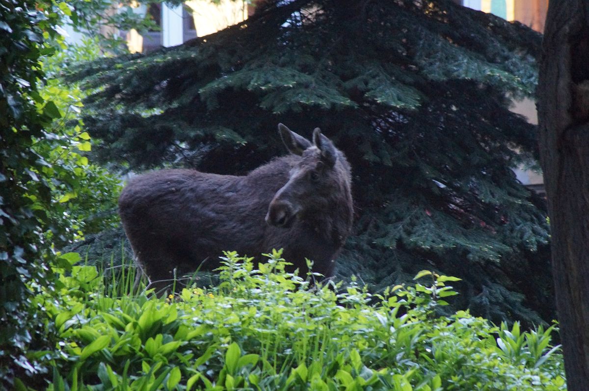 304