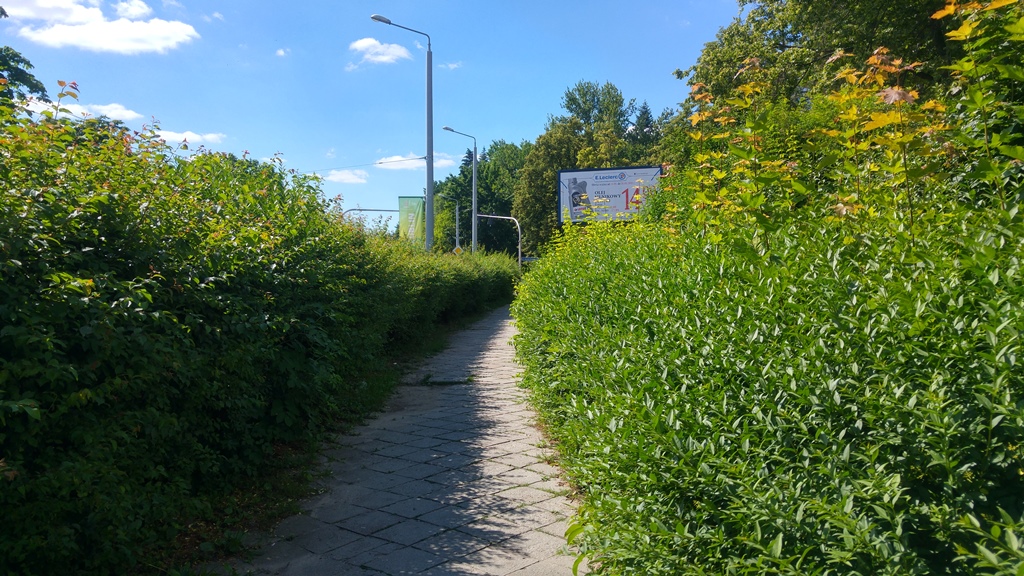 Głeboka aa (1)