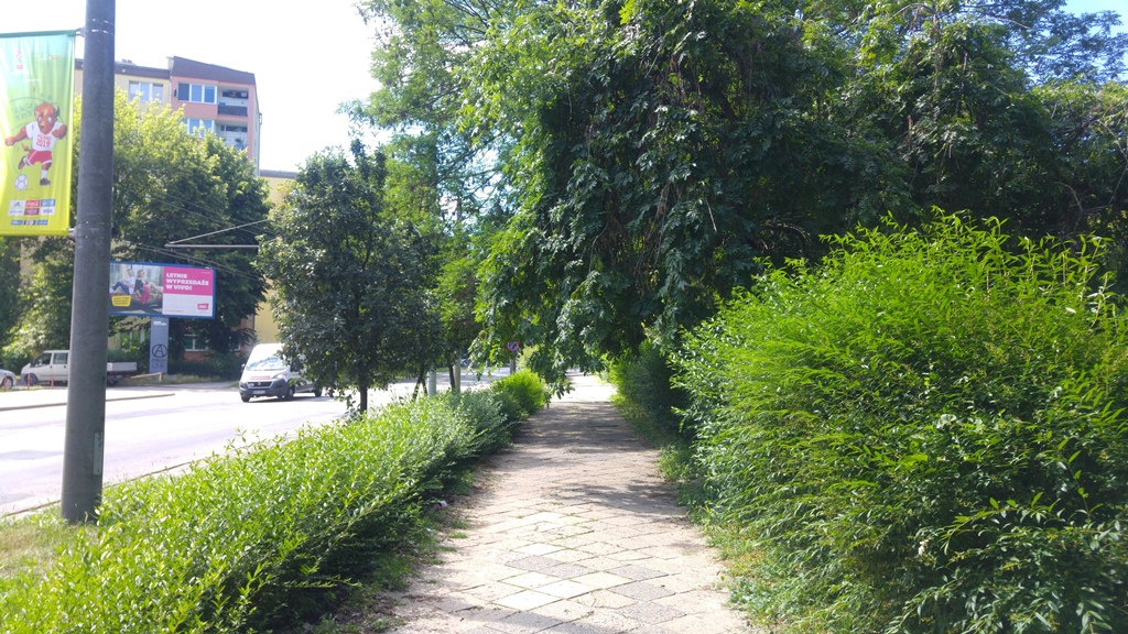 Głeboka aa (4)