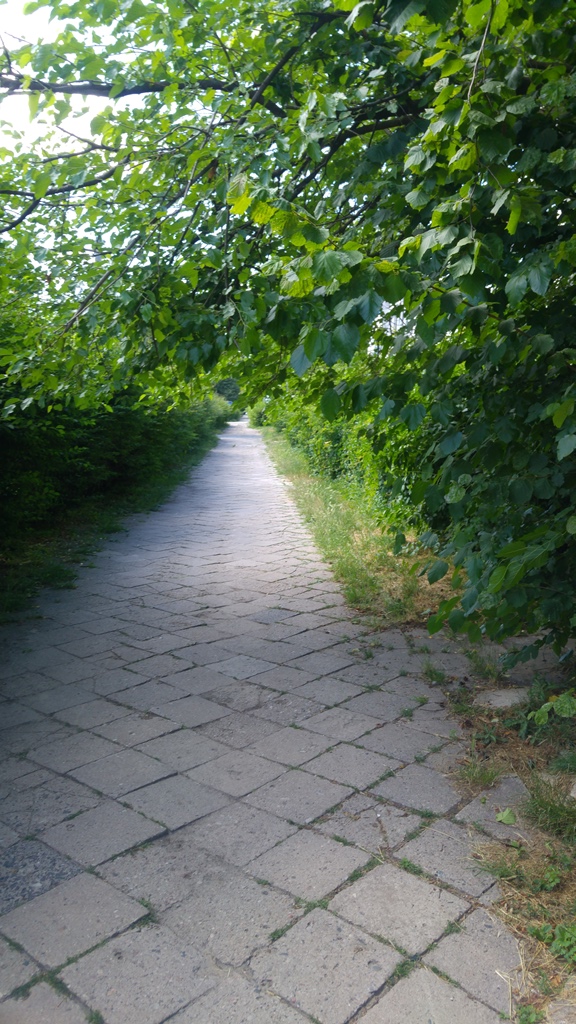 Głeboka aa (6)