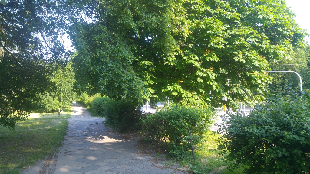 Głęboka (2)