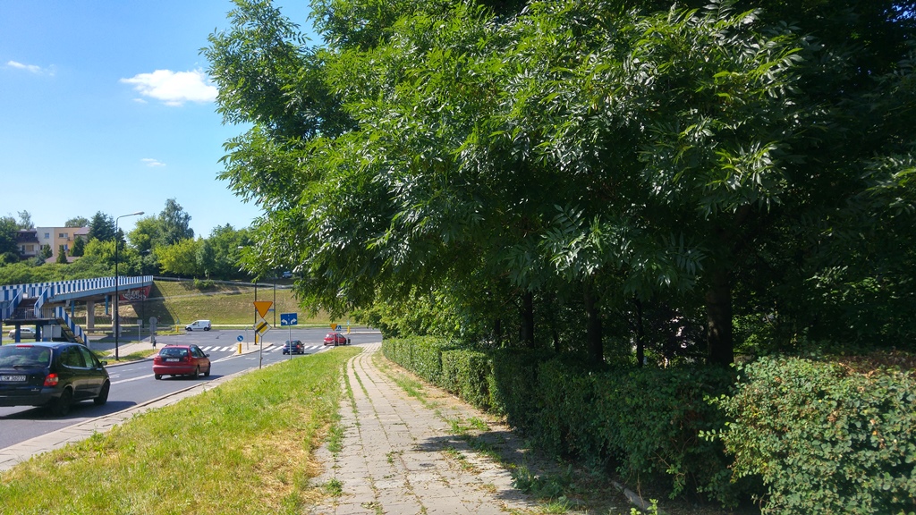 Popiełuszki aaa