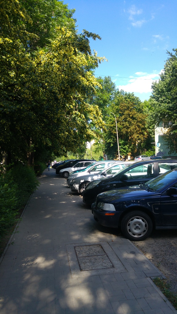 Puławska (1)