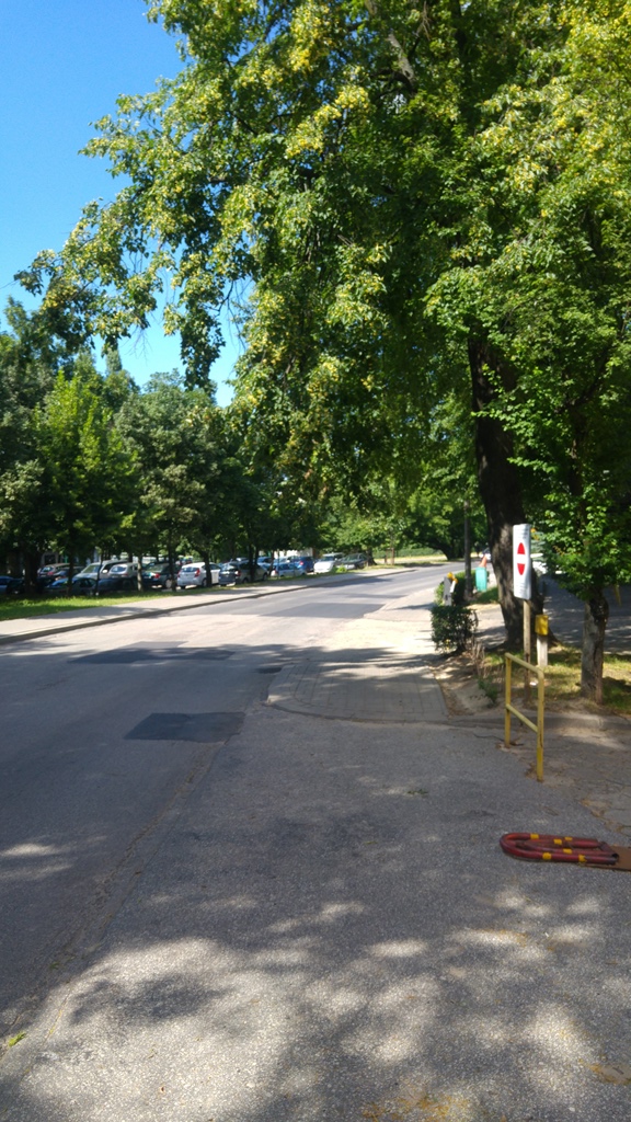 Puławska ewf (2)