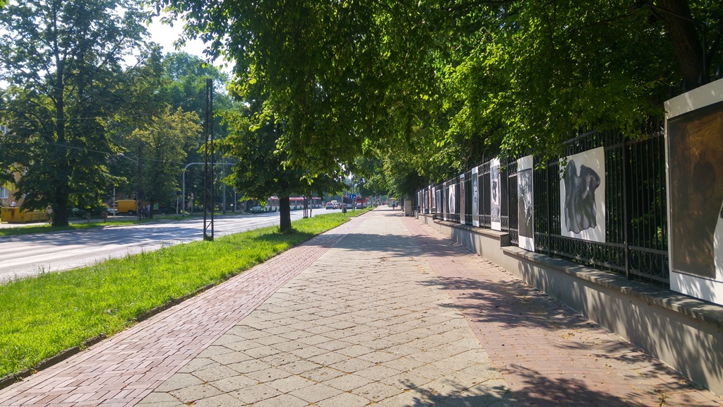 Racławickie saski