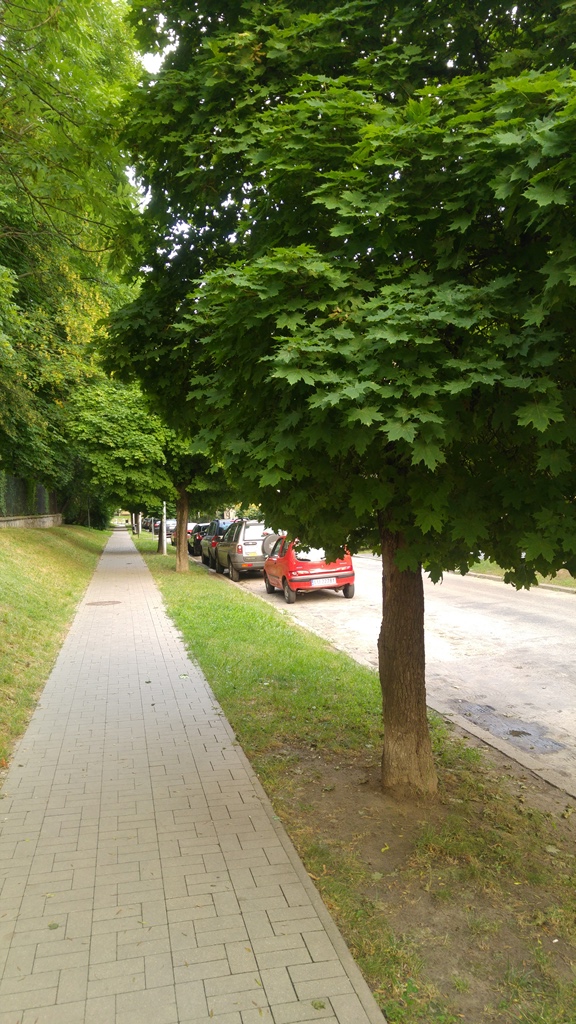 Weteranów (1)